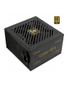 Enermax CYBERG II ATX3.1 PCI-e 5.1 750W 80Plus Gold (ERV750GAHGNAC) - nr 12