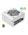 Fsp/Fortron FSP Netzteil VITA 850 GM W 85+G 850W F-Mod. White ATX/GEN retail (PPA8504214) - nr 23