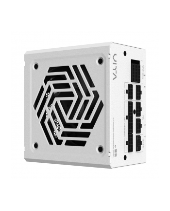 Fsp/Fortron FSP Netzteil VITA 850 GM W 85+G 850W F-Mod. White ATX/GEN retail (PPA8504214)