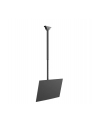 Neomounts CL35-340BL12 42'' Czarny (CL35340BL12) - nr 31