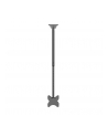 Neomounts CL35-340BL22 42'' - nr 26