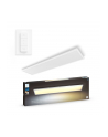 PHILIPS HUE White ambiance Aurelle 39W biały - nr 5