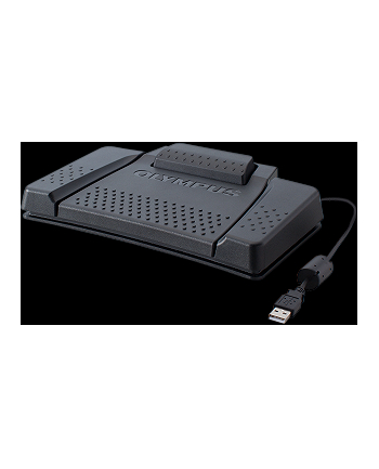 Olympus RS31H