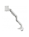 Silverstone Uchwyt Biurkowy Na Monitor 17'' 49'' Arm14 Sst-Arm14 (SSTARM14) - nr 21