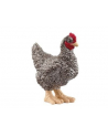 schleich SLH kura rasy Plymouth 13997 61718 - nr 3