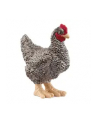 schleich SLH kura rasy Plymouth 13997 61718 - nr 4
