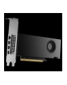 VGA Nvidia Quadro RTX 2000 Ada 16GB Retail - nr 1