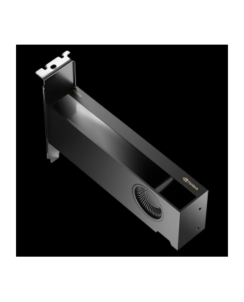 VGA Nvidia Quadro RTX 2000 Ada 16GB Retail