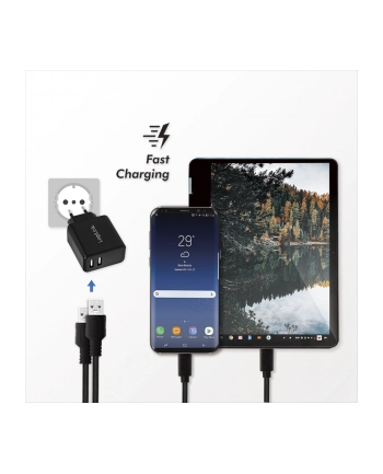 Logilink PA0210 Fast Charging adapter gniazda USB 2 x USB-A 12 W do smartfonów/tabletów/odtwarzaczy MP3-MP4/eBooków/nawigacji itp z zabezpieczen