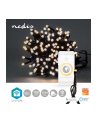 Nedis Dekoracja Świąteczna Wifilx01W100 Oświetlenie Dekoracyjne Lekki Łańcuch Do Dekoracji Czarny 100 Lamp(Y) Led 2,21 W G - nr 4