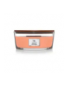 WoodWick Manuka Nectar Elipsa 453,6g - nr 1