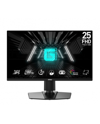 msi Monitor G255PF E2 24,5 cala LED/FHD/Flat/180Hz/Black nr 1