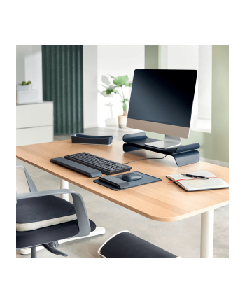 Leitz Ergo 65400089 szara
