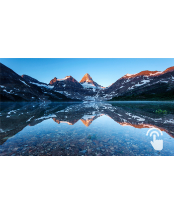 philips Monitor LCD 222B9TA 21.5 cala VA Touch 10 points