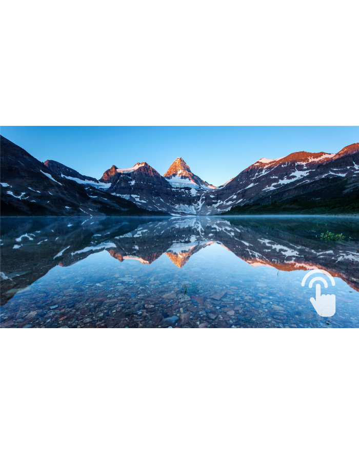 philips Monitor LCD 222B9TA 21.5 cala VA Touch 10 points główny