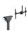 neomounts Uchwyt do monitora/TV CL35-440BL16L  37-70 '' 50kg - nr 13