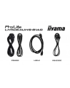 iiyama Monitor 75 '' LH7564UHS-B1AG, 24/7,VA,ANDROID14,4K,500cd,5000:1,    2xHDMI ,USB-C,RJ45, RS-232c, IR, 2x10W, 2xUSB, UCHWYT ŚCIENNY,iiSignage2,WiFi,Fa - nr 30