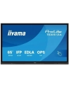 iiyama - nr 57