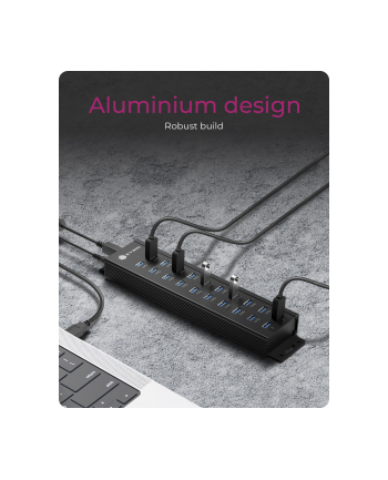 ICY BOX IB-HUB1720-U3 20-in-1 USB HUB