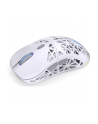 cooling.pl Mysz bezprzewodowa Endorfy LIV Wireless Onyx White (EY6A019) - nr 19