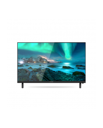 allview Telewizor LED 24 cale 24ATC6300-H