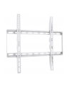 techly Uchwyt ścienny do TV 23-55'' LED/LCD 45kg slim 28mm biały - nr 6