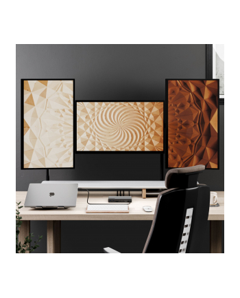 Alogic Stacja/replikator USB-C 16 in 1 Quad Display 85W PD (DUCDV4)