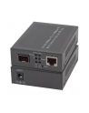 Efb Media 1x100/1000Mbit Rj45,1 x Gigabit SFP Port (EL029) - nr 2