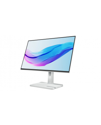 Lenovo L24m-4A 238'';FHD IPS 100Hz 250nits AG HDMI DP USB Cloud Grey