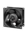 ARCTIC S8038-7K (4 szt.) (ACFAN00292A) - nr 4