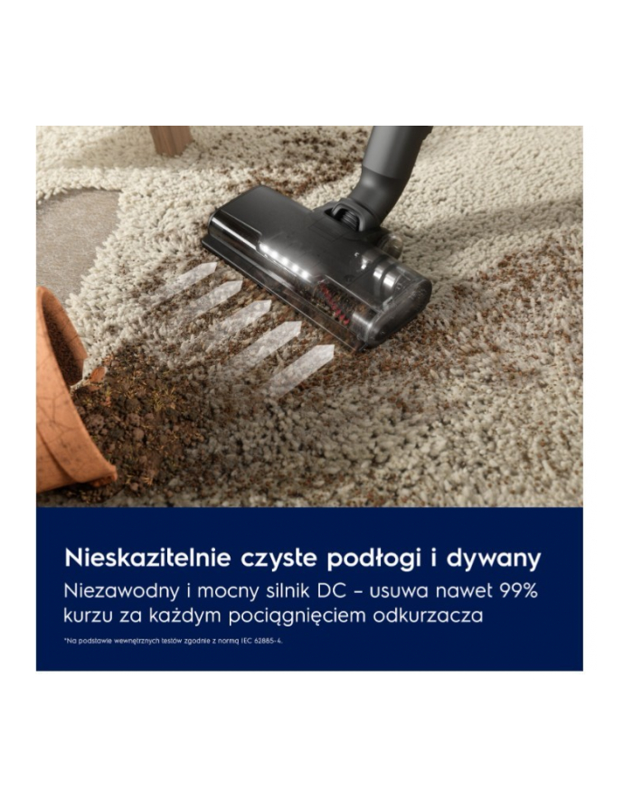 electrolux Odkurzacz pionowy Hygienic 600  EP61HB21UV główny