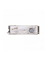adata Dysk SSD XPG MARS 980 PRO 2TB PCIe 5x4 14/13 GB/s M2 - nr 1