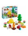 LEGO 10452 DUPLO Świnka Peppa Wyprawa na biwak - nr 3