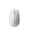 Alogic Echelon Bluetooth Wireless Mouse White - nr 6