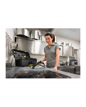 Karcher SG 4/2 Classic Anniversary Edition 1.092-303.0