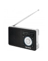 Technisat DigitRadio 1 ASA czarny/srebrny - nr 3
