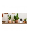 Strong SHC08IR0-W Smart Home Camera - nr 12