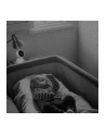 Strong SHC08IR0-W Smart Home Camera - nr 13