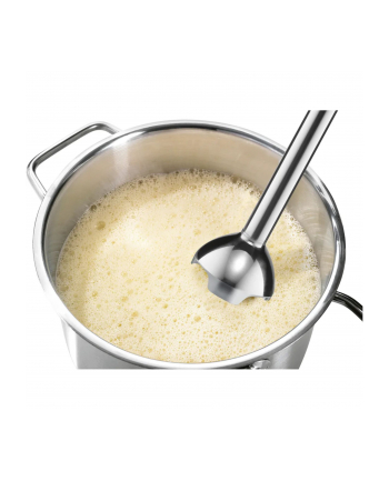 Bosch MSM 2410D CleverMixx Fun