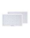 Amaran pano 60c 2-Light-Kit biały - nr 1