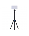 Amaran pano 60c 2-Light-Kit biały - nr 5