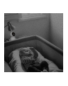 Strong SHC08IR0-W Smart Home Camera - nr 15