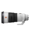 Obiektyw Sony FE 300 mm f/2.8 GM OSS (SEL300F28GM) - nr 5