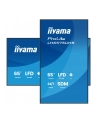iiyama Monitor 65 '' LH6575UHS-B2AG,24/7,IPS,ANDROID.11,4K,  WiFi,         iiSignage2, FailOver, EShare, 24/7, full daisy chain - nr 23