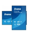 iiyama Monitor 65 '' LH6575UHS-B2AG,24/7,IPS,ANDROID.11,4K,  WiFi,         iiSignage2, FailOver, EShare, 24/7, full daisy chain - nr 2