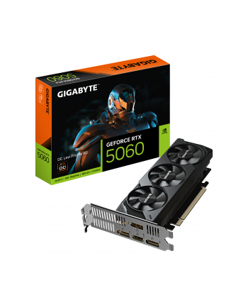 gigabyte Karta graficzna GeForce RTX 5060 OC Low Profile 8G GDDR7 3DP/HDMI
