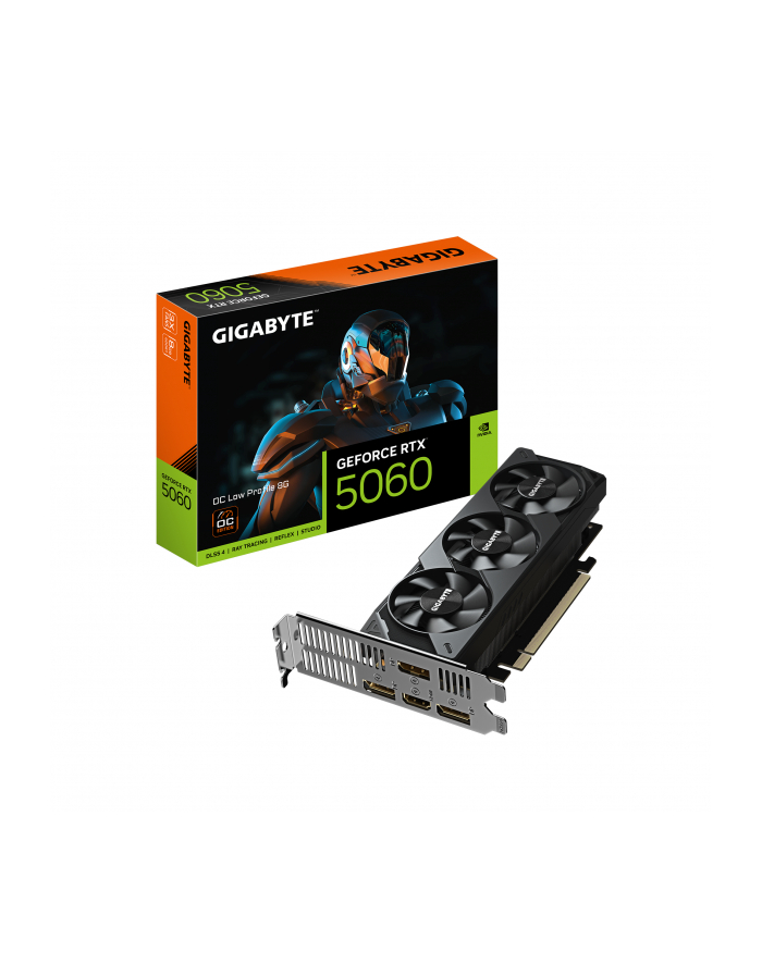 gigabyte Karta graficzna GeForce RTX 5060 OC Low Profile 8G GDDR7 3DP/HDMI główny