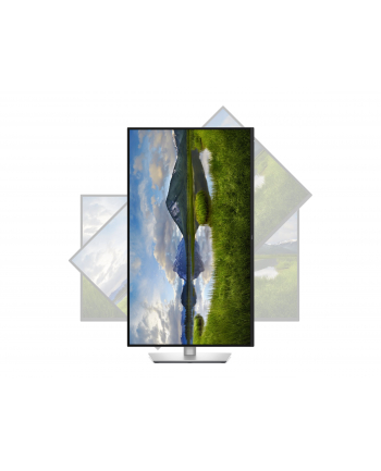 dell Monitor P3225QE 31.5 cala IPS 4K/HDMI/DP/USB/RJ45/3Y nr 1