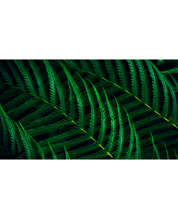 philips Monitor 24B2G5301 23.8 cala IPS 100Hz HDMI DP RJ45 USB-C Pivot Głośniki nr 1