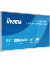 iiyama - nr 25